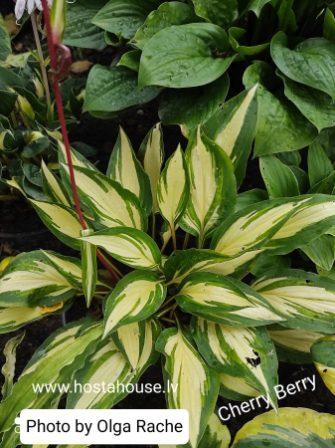 IMG_20211222_182516-scaled