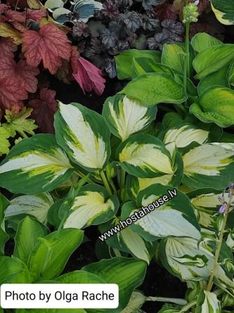 IMG_20220108_221248