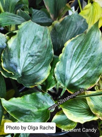 IMG_20220108_230949