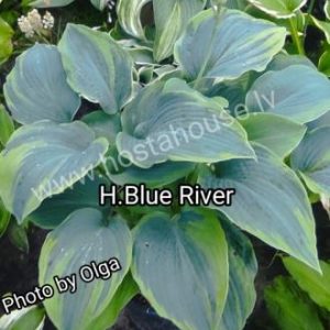 Blue River