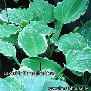 Lakeside Breacking News